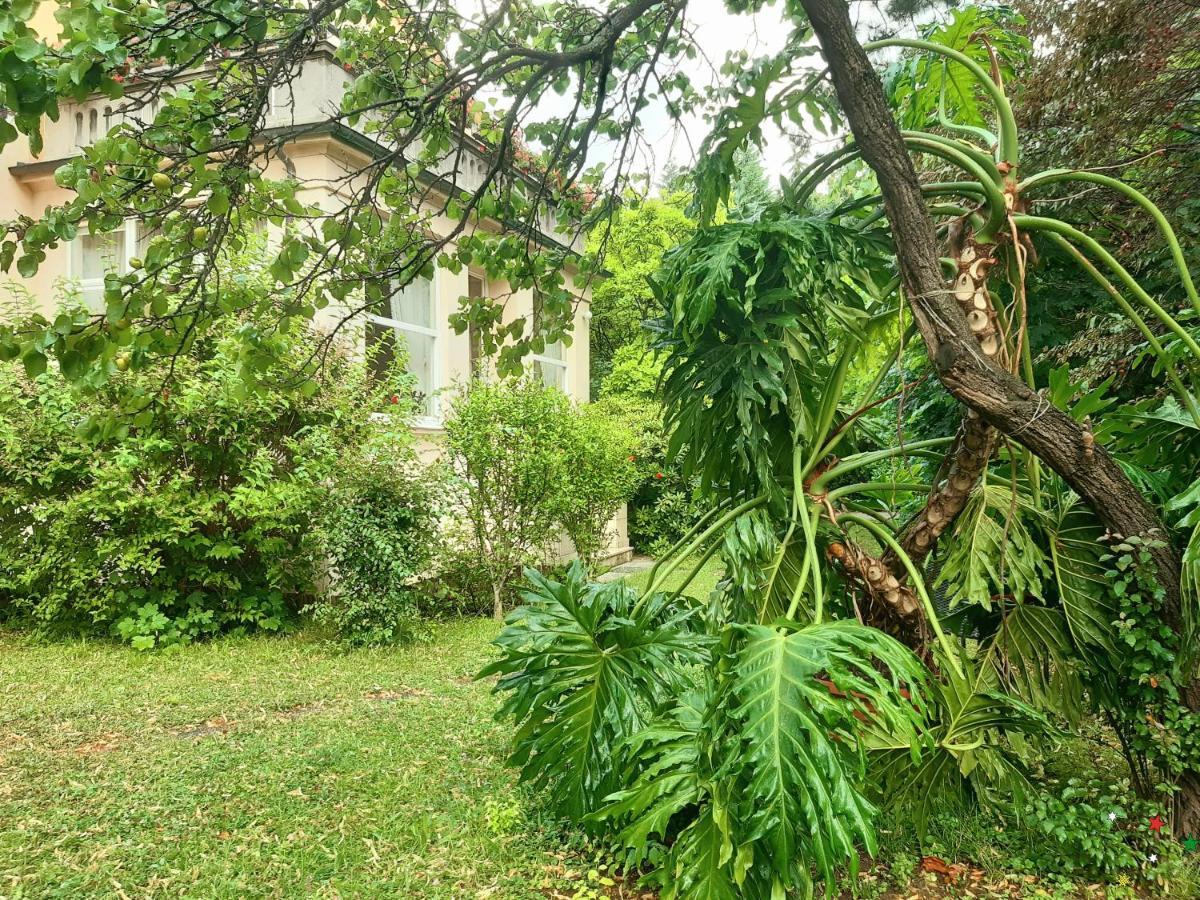 Pension Villa Inge Baden Exteriér fotografie